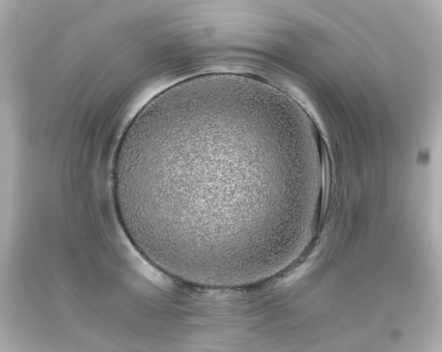 X0000091940803200709121618