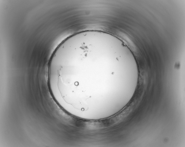 X0000091940804200709121618