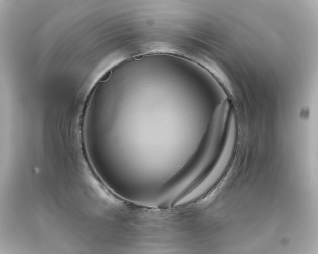 X0000091940806200709121618