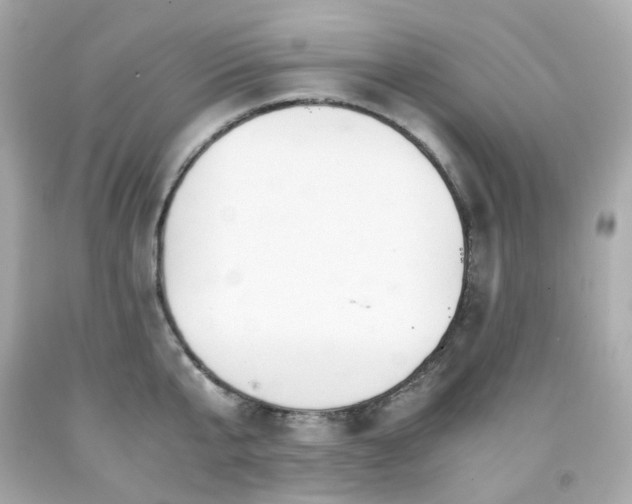 X0000091940807200709121618