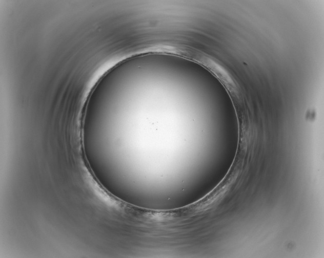 X0000091940808200709121618