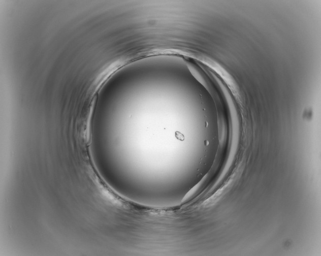 X0000091940809200709121618