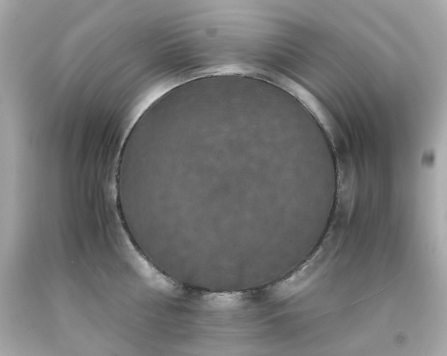 X0000091940810200709121618