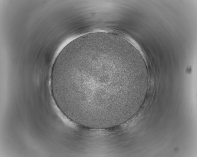 X0000091940811200709121618