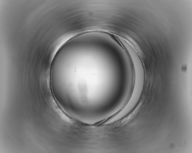 X0000091940812200709121618