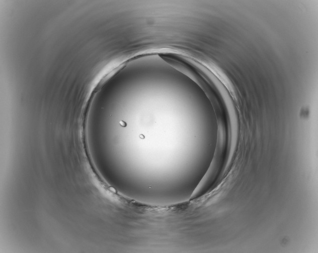 X0000091940813200709121618