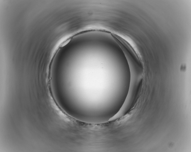 X0000091940815200709121618