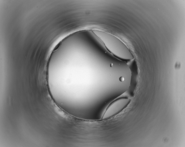 X0000091940816200709121618