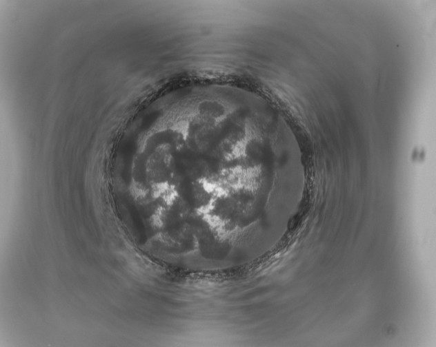 X0000091940817200709121617