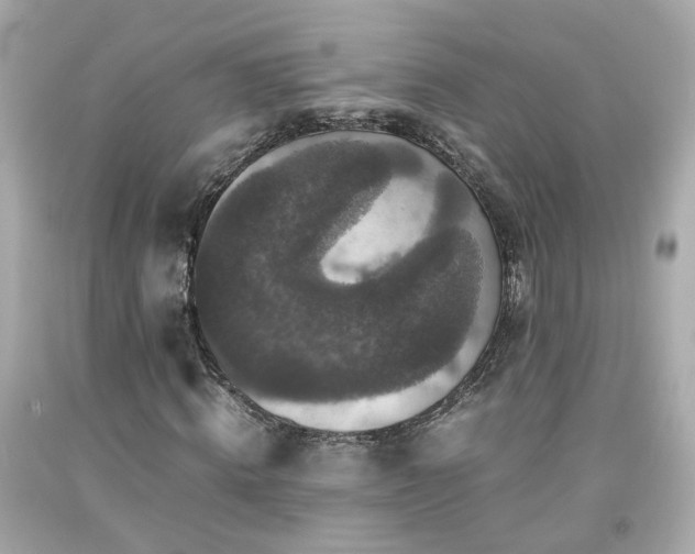 X0000091940820200709121617