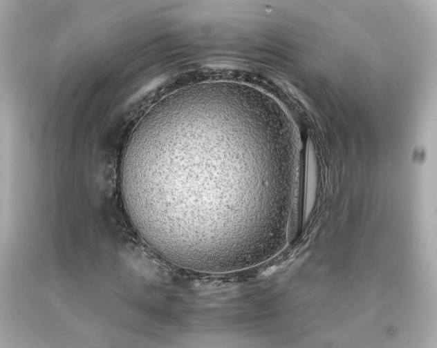 X0000091940821200709121617