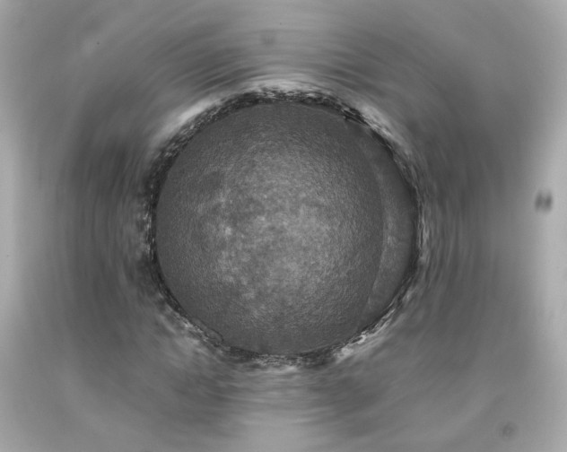 X0000091940822200709121617