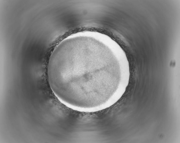 X0000091940824200709121617