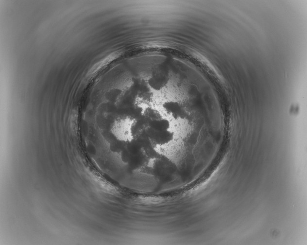 X0000091940825200709121617