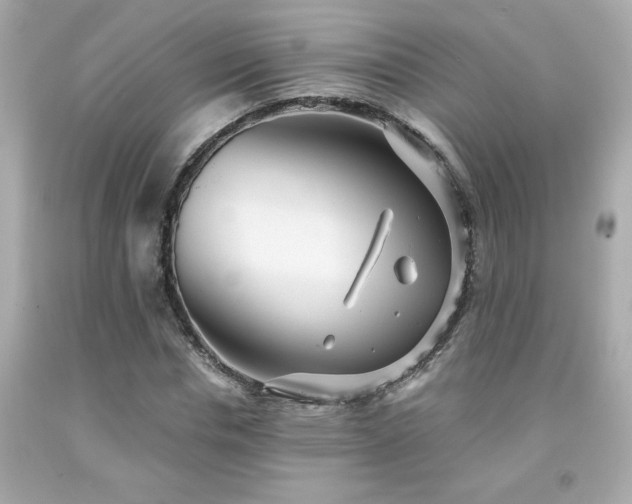 X0000091940826200709121617