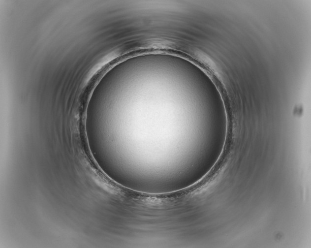 X0000091940827200709121617