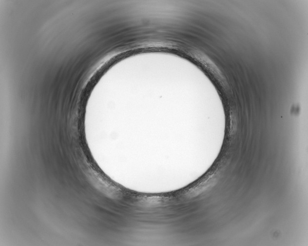 X0000091940828200709121617