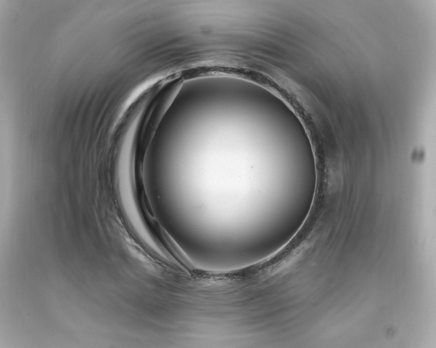 X0000091940830200709121617