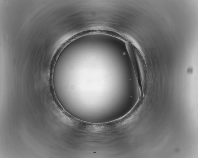 X0000091940831200709121617