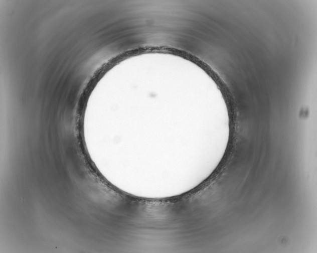 X0000091940832200709121617