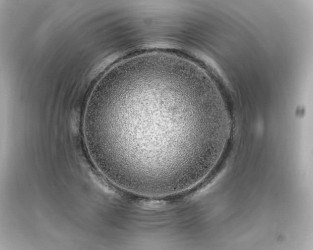 X0000091940833200709121617