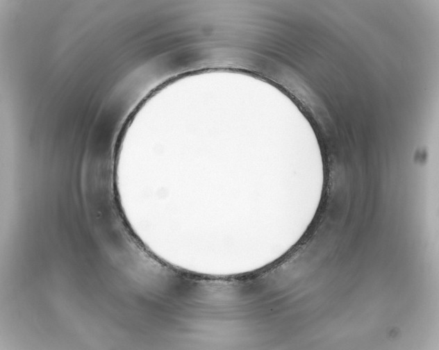 X0000091940836200709121617