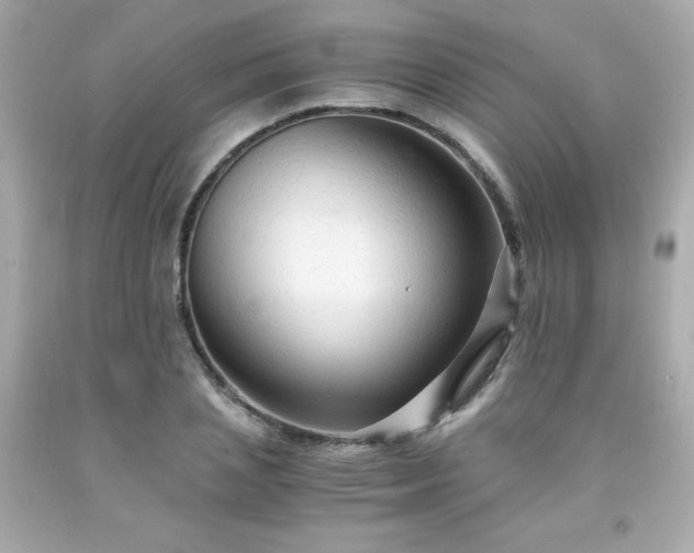 X0000091940837200709121617