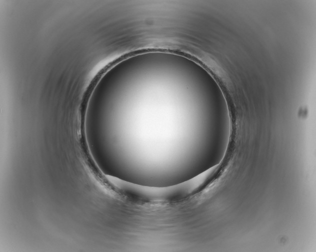 X0000091940838200709121617