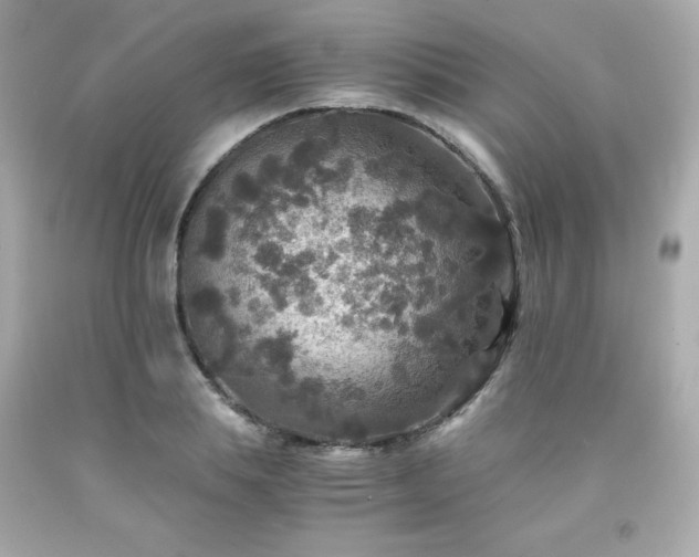 X0000091940839200709121617