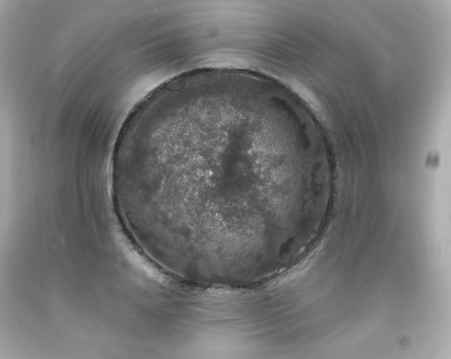 X0000091940840200709121617