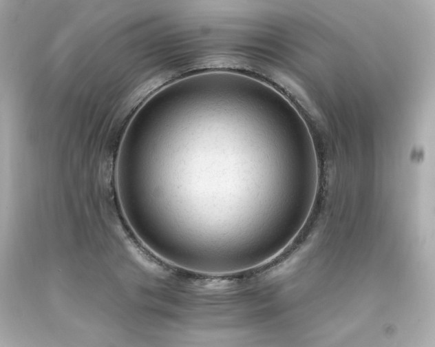 X0000091940841200709121617