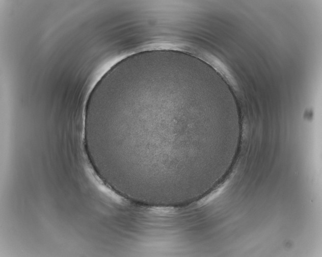 X0000091940844200709121617