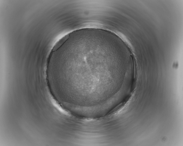 X0000091940846200709121617