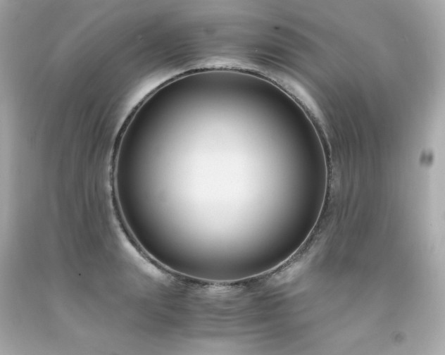 X0000091940847200709121617