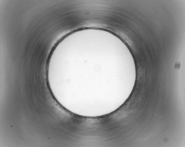 X0000091940848200709121617