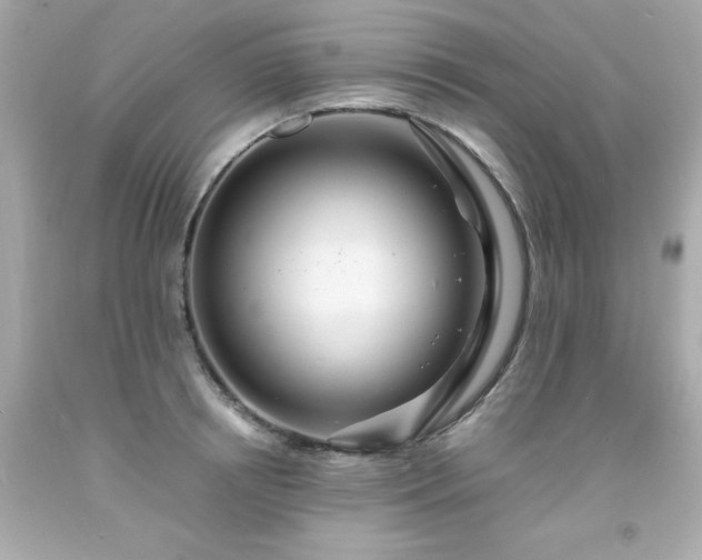 X0000091940850200709121617