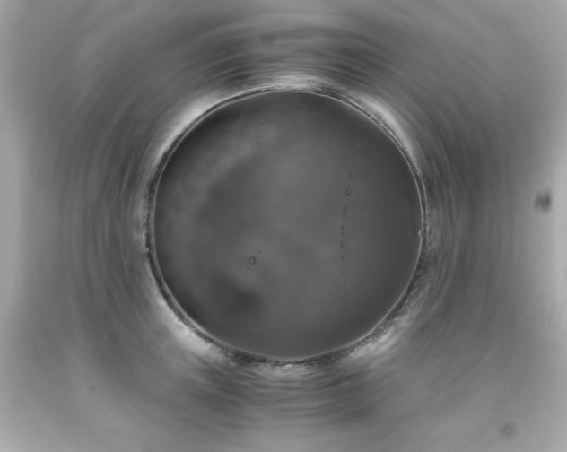 X0000091940851200709121617