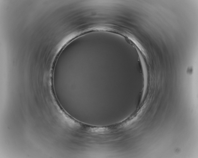 X0000091940853200709121617