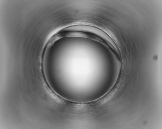 X0000091940854200709121617