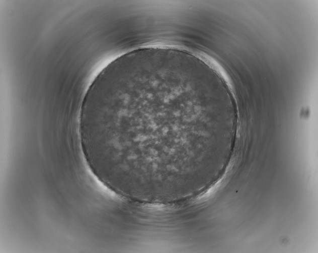 X0000091940855200709121617