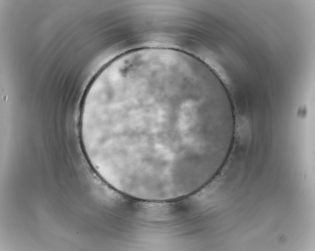 X0000091940856200709121617