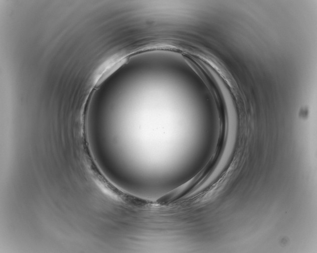 X0000091940858200709121617