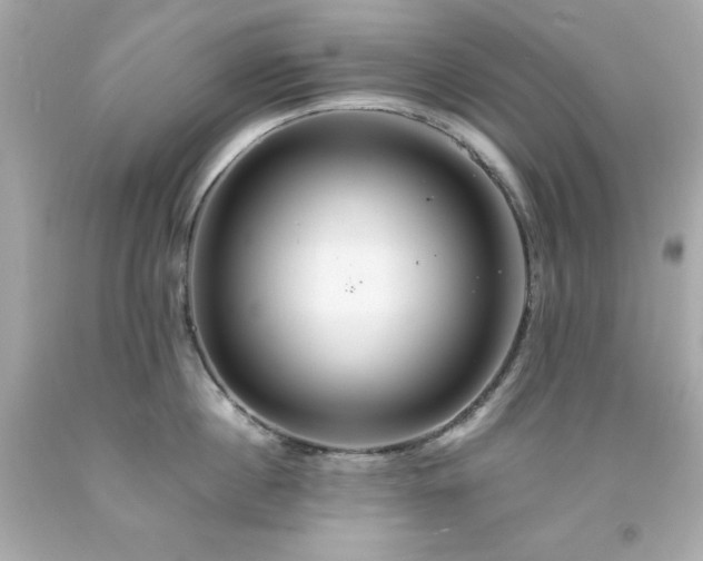 X0000091940860200709121617