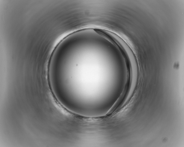 X0000091940862200709121617