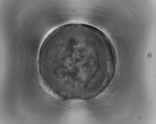 X0000091940864200709121617