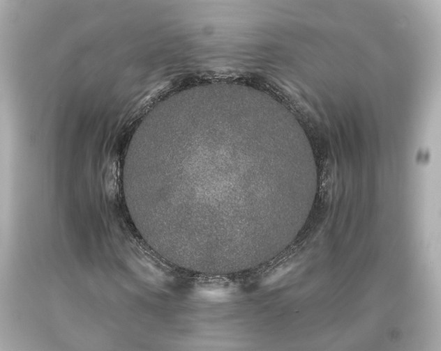 X0000091940866200709121617