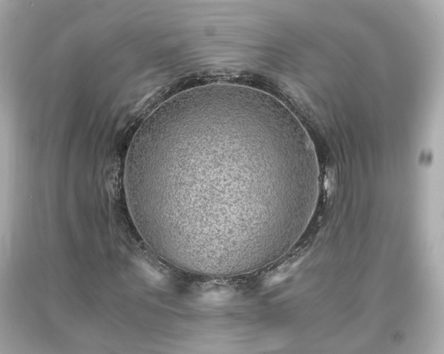 X0000091940867200709121617