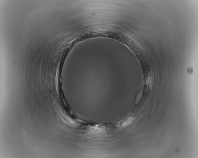 X0000091940868200709121617