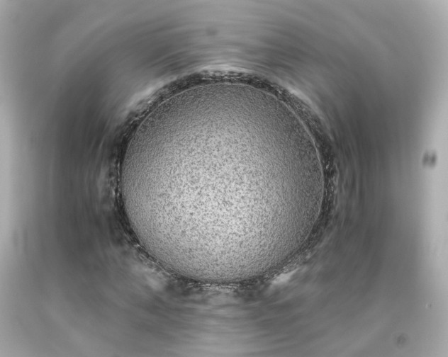 X0000091940870200709121617