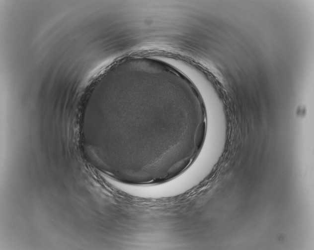 X0000091940872200709121617